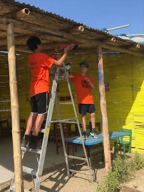 Volunteers up a ladder image